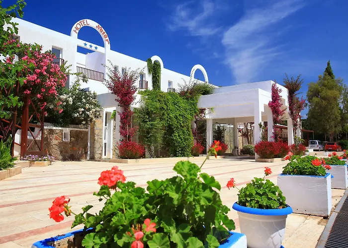 Garden Hotel 3*